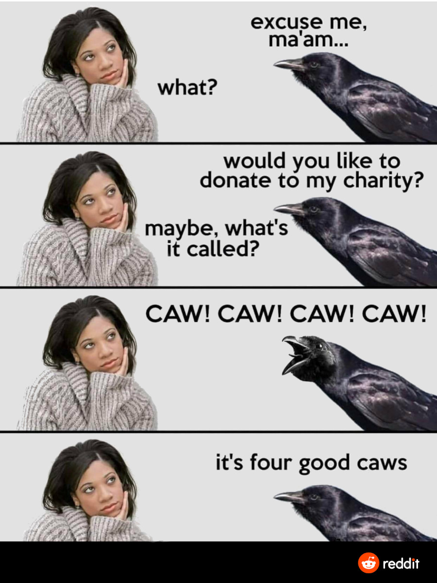 Four Good CAWS